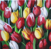 Tulpen