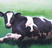 Lying cow